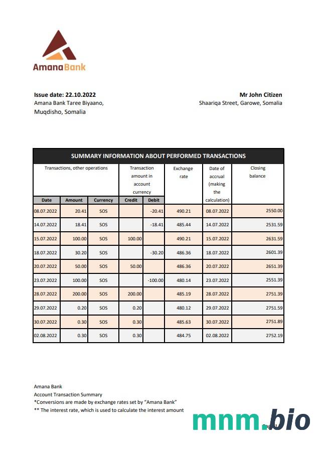Szablon wyciągu bankowego Somalia Amal w programie Word i PDF